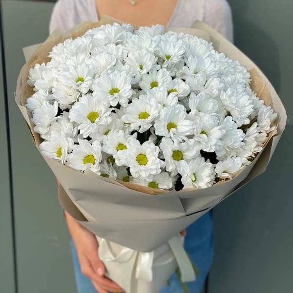  Kemer Blumenbestellung Strauß aus 15 eleganten weißen Chrysanthemen