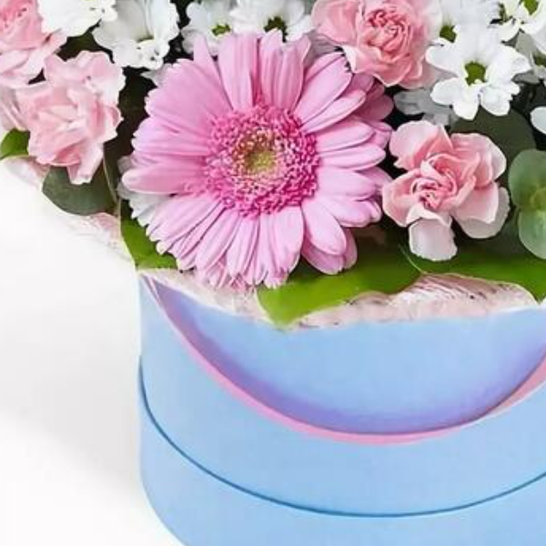  Kemer Blumenbestellung Gelbera und Chrysantheme in Box