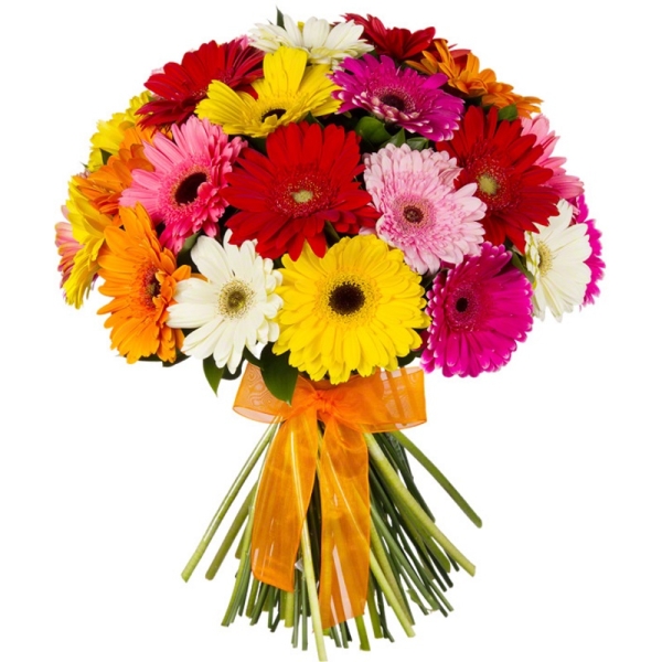  Kemer Florist Colorful Gelbera Bouquet