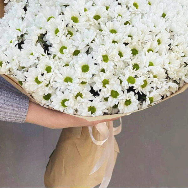 Kemer Florist Elegant White Chrysanthemum Bouquet