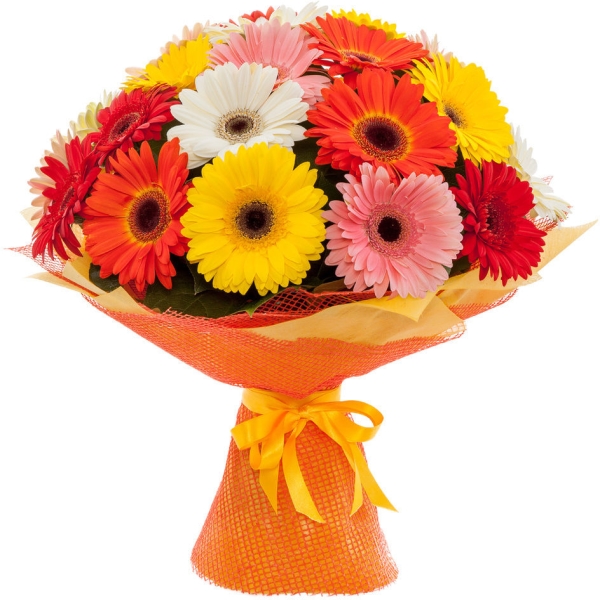  Kemer Flower Delivery Stylish Gelbera Bouquet