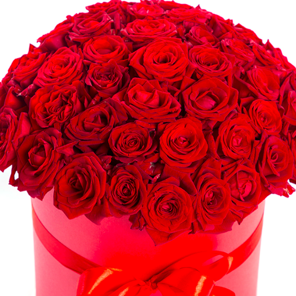 Kemer Florist 51 rote Rosen in Box