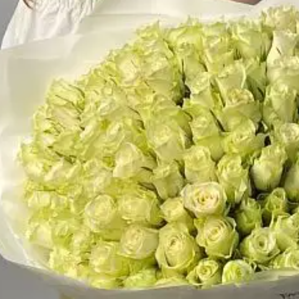  Kemer Flower Order Bouquet of 101 White Roses