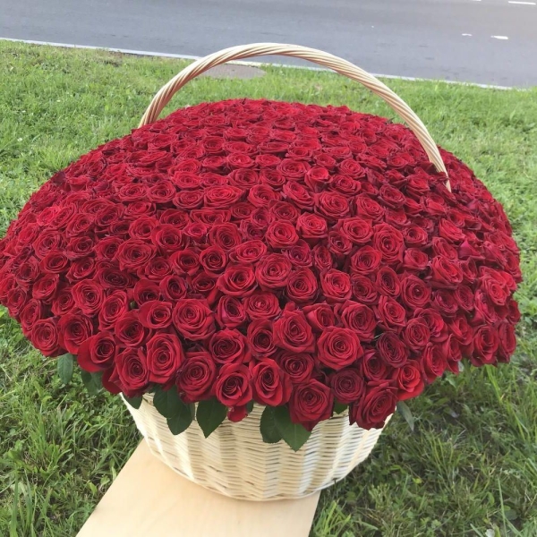 Kemer Florist 201 rote Rosen im XL-Korb