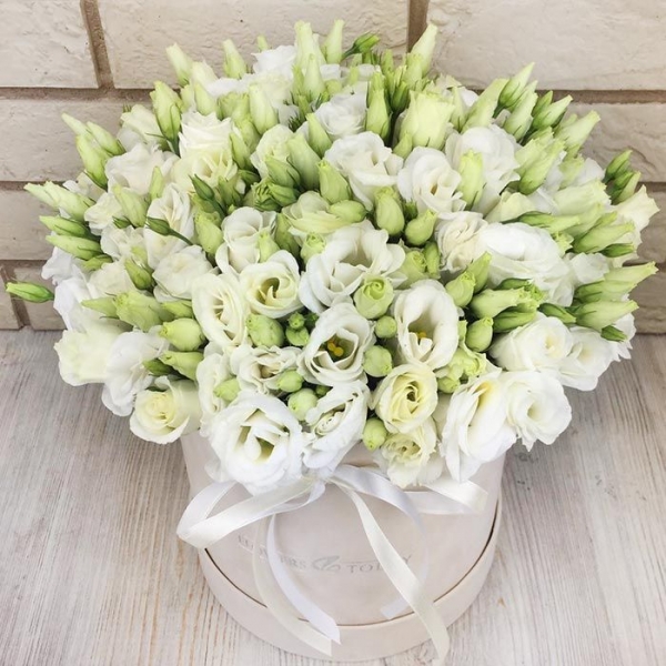  Kemer Flower Delivery White Lisianthus in Box