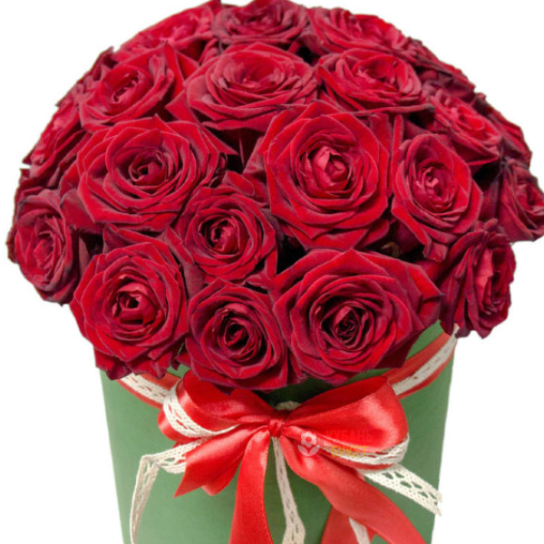  Kemer Florist 25 Red Roses in Box