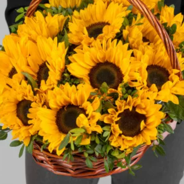  Kemer Florist Sunflower in a Stylish Basket